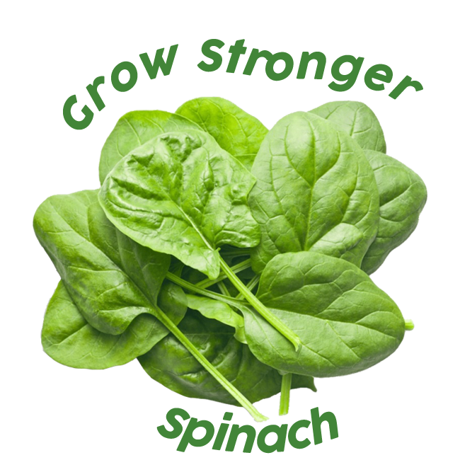 grow stronger spinach