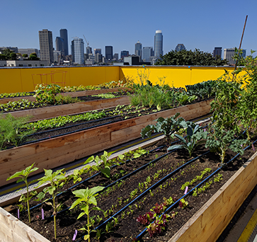 roof top farming deployment