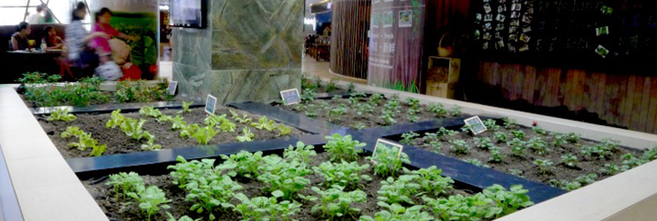 urban farming Property Management