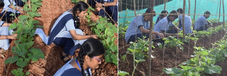 urban farming School and Youth Programs